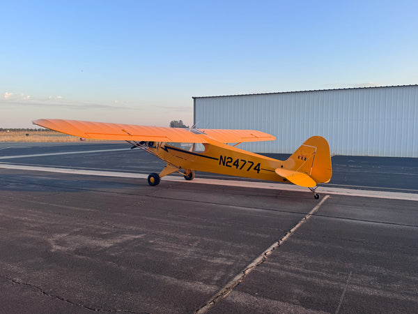 American Champion AL-3 Cub