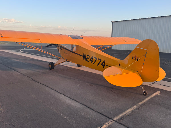 American Champion AL-3 Cub