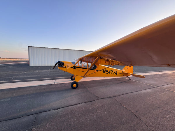 American Champion AL-3 Cub