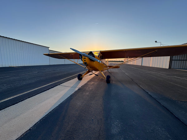 American Champion AL-3 Cub