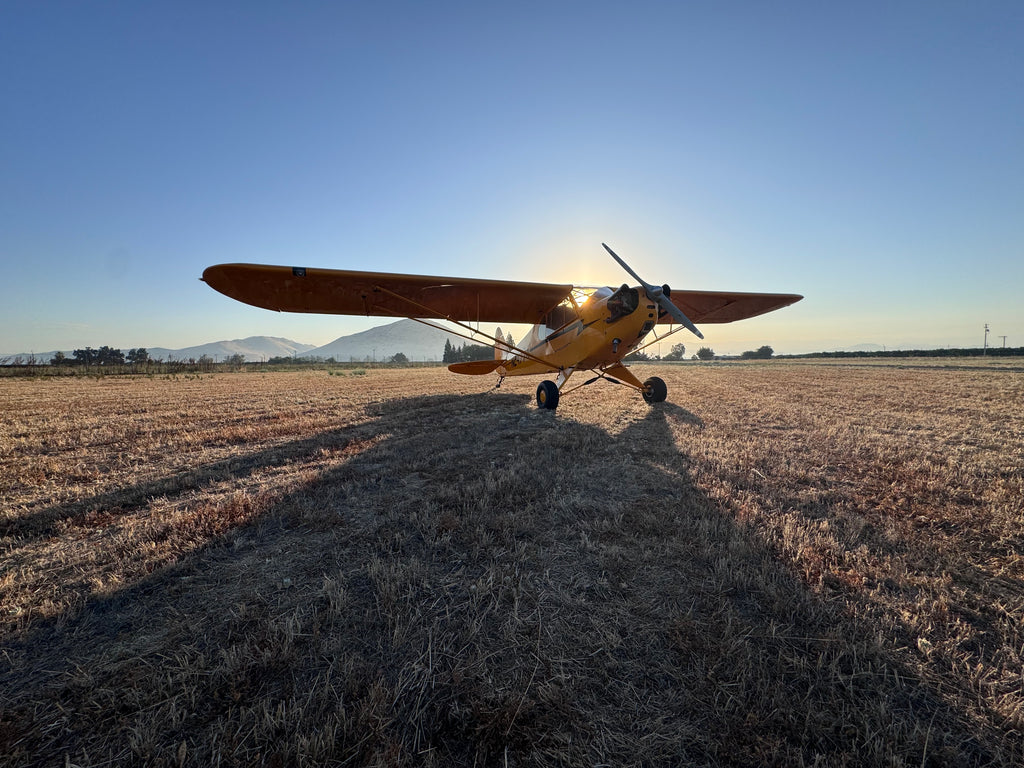 American Champion AL-3 Cub