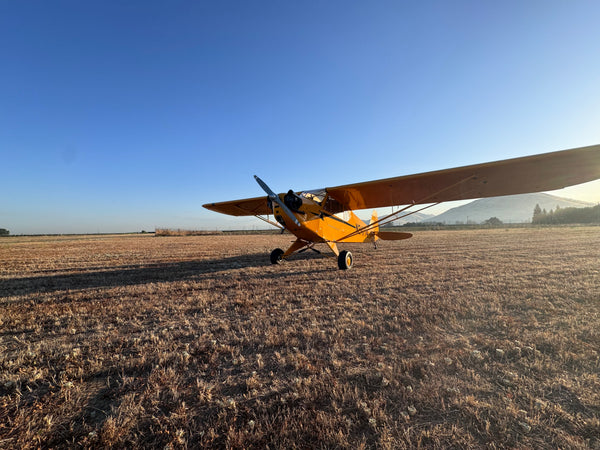 American Champion AL-3 Cub