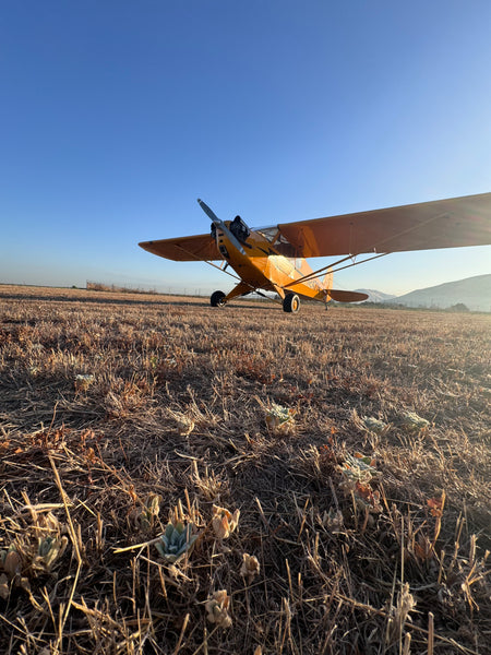 American Champion AL-3 Cub