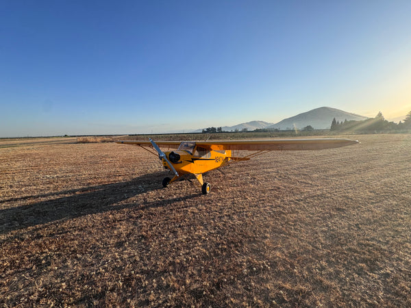 American Champion AL-3 Cub