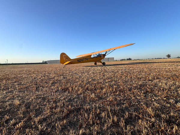 American Champion AL-3 Cub
