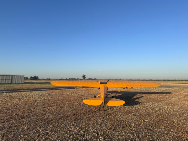 American Champion AL-3 Cub