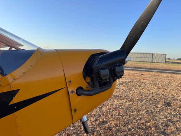 American Champion AL-3 Cub